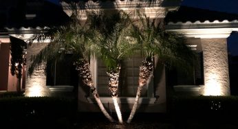 Troubleshooting Landscape Lighting 101 | Sanford, Florida
