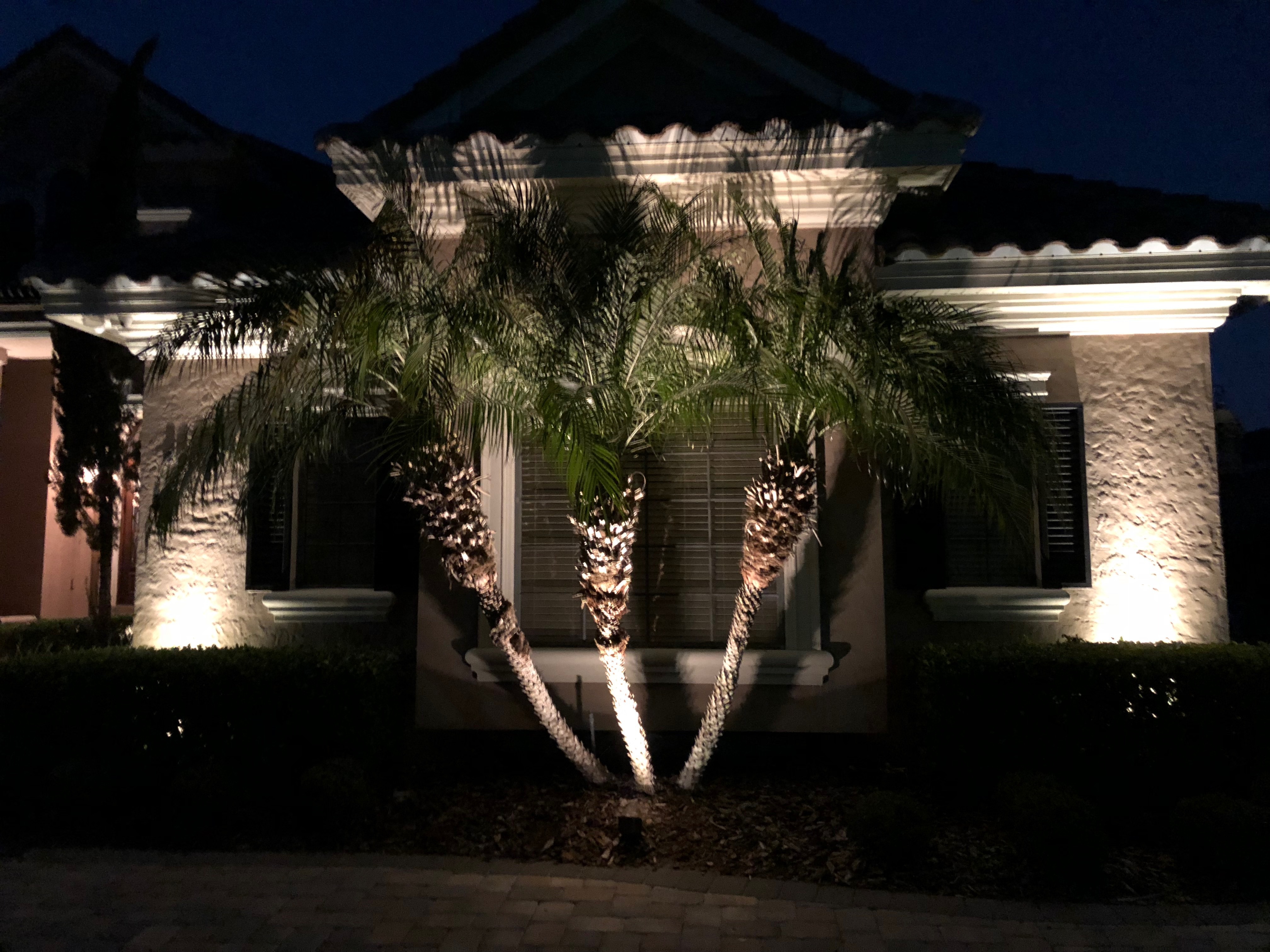 Make an Impact With Landscape Lighting